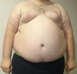 Bauch