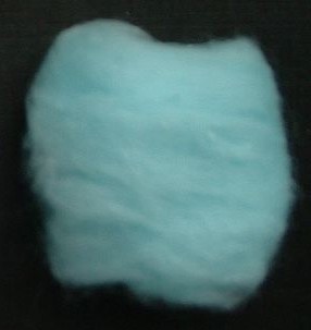 Bausch