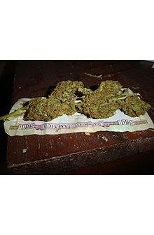 Cannabis