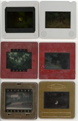 Dias