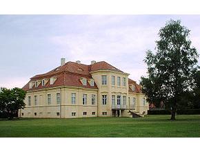 Gut
