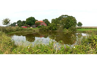 Kolk