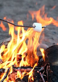 Marshmallow