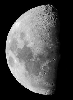 Mond
