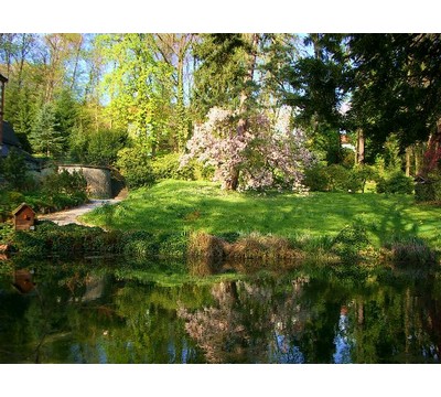 Park