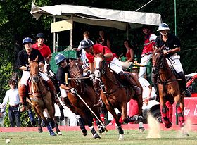 Polo