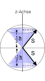 Spin