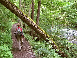 Wanderung