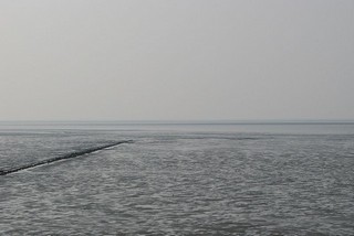 Watt