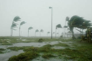 Wind
